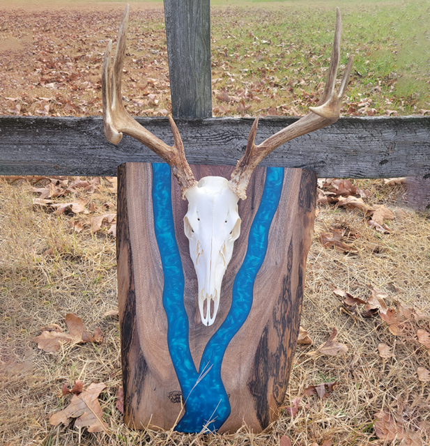 Photo of a deer skull set on a live edge mount with a blue epoxy river on the slab.